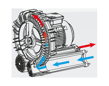 Single impeller single stage MS series