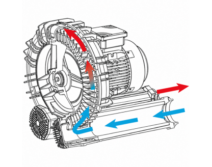 Single impeller single stage MS series
