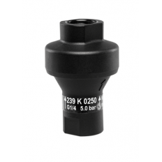 Reduktor ciśnienia ECOREG do użytku z wodą pitną, ustawiony fabrycznie, wykonany z Grivory (materiał syntetyczny), 1/4" BSP, 4 bar, zgodny z FDA