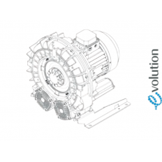 SCL e08-MD MOR IE3 M.E. 100 - 4.0kW - 4.8kW 380-415/220-240V 50Hz 440-480/255-280V 60Hz- IE3 - ATEX 3GD - IP65 - CL. F - TROP. PTO - NATURAL FINISH. Ex h IIC T3 Gc - Ex h IIIC T200°C Dc SCL e08-MD MOR IE3 M.E. 100 - 4.0kW - 4.8kW 380-415/220-240V 50Hz 440-480/255-280V 60Hz- IE3 - ATEX 3GD - IP65 - CL. F - TROP. PTO - NATURAL FINISH. Ex h IIC T3 Gc - Ex h IIIC T200°C Dc
